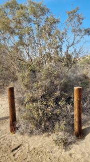 2023-GC--Mapalomas dunas-S123-261.jpg